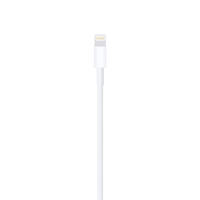 Apple Usb-C To Lightning Cable (1 M)